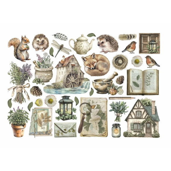 Herbarium Silvae Ephemera