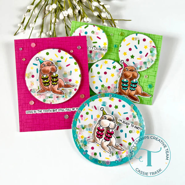 Circle Assortment Flat Acetate Shaker Pouches