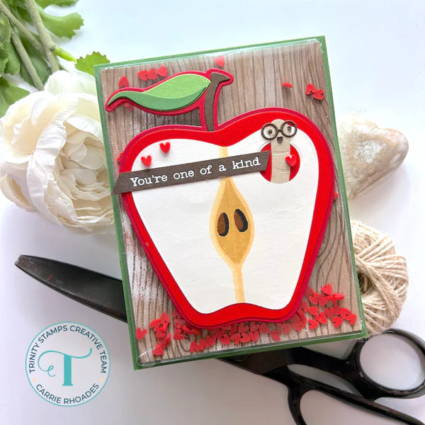 A2 Card Layer Flat Acetate Shaker Pouches