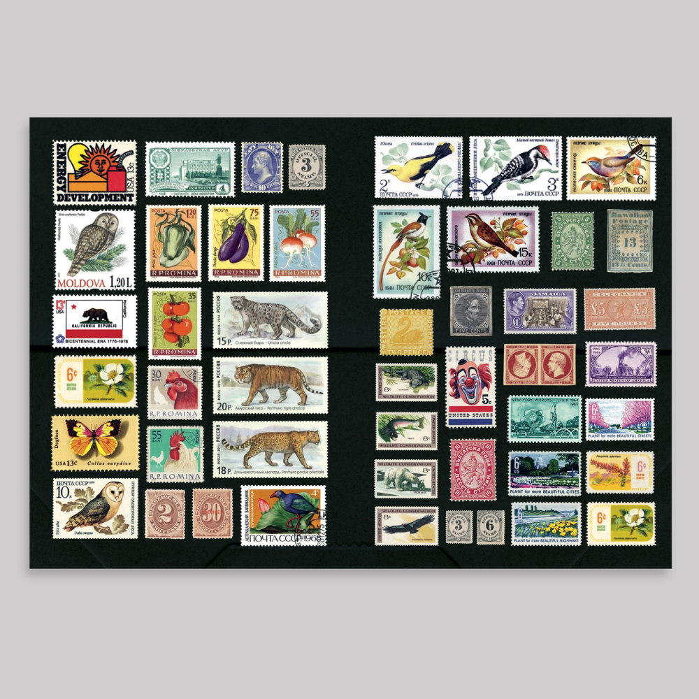 The Curious Collectibles Sticker Book