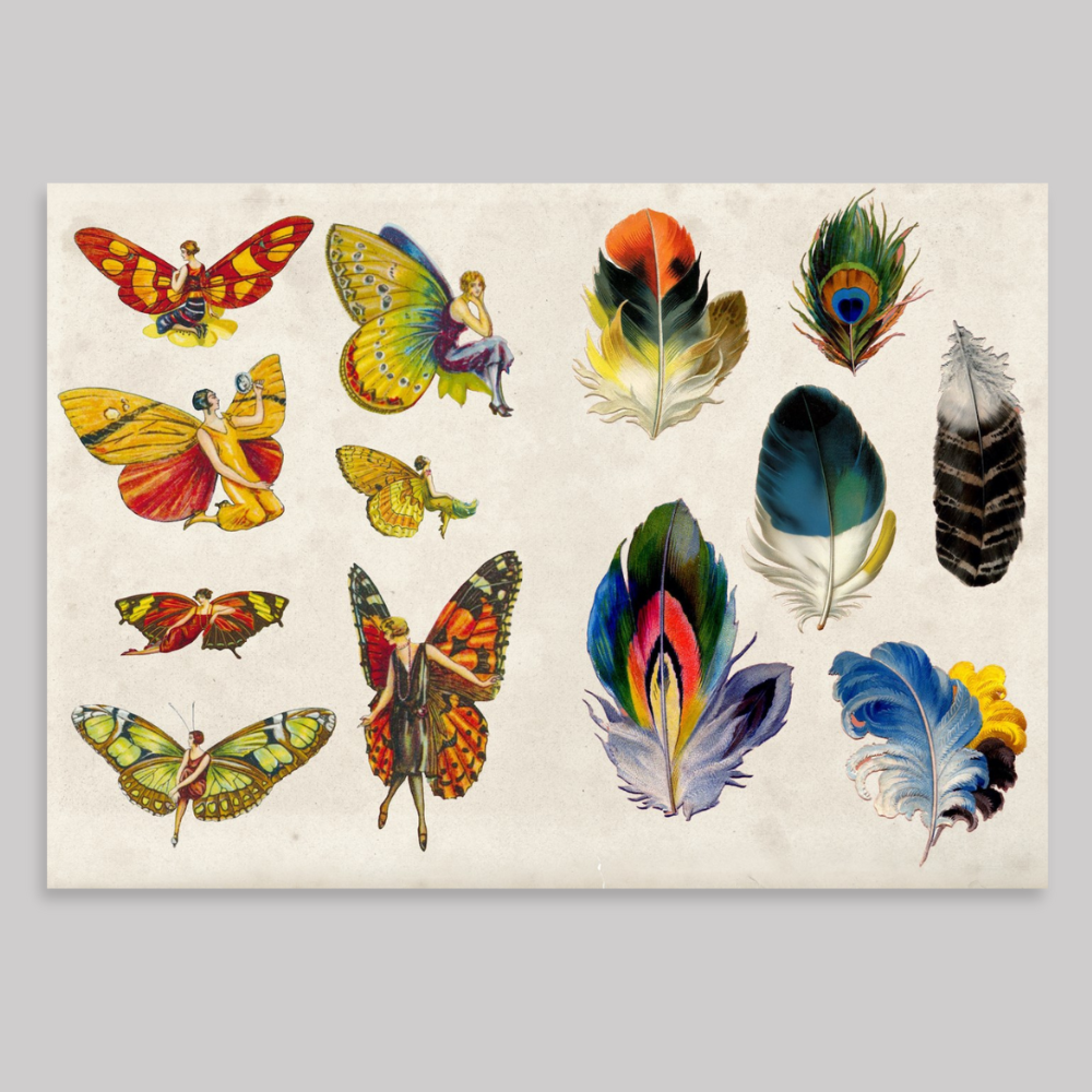 The Curious Collectibles Sticker Book