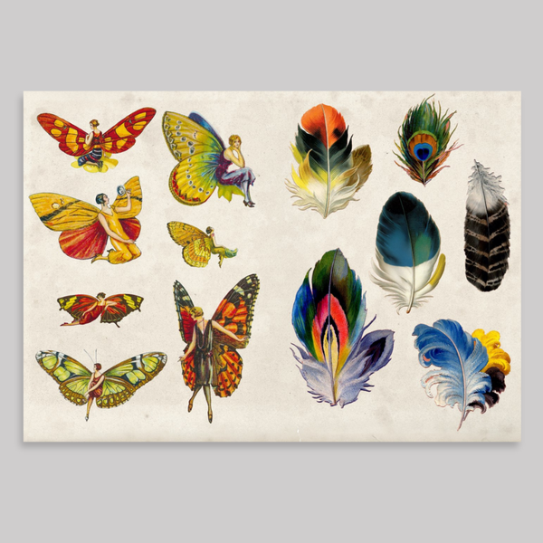 The Curious Collectibles Sticker Book