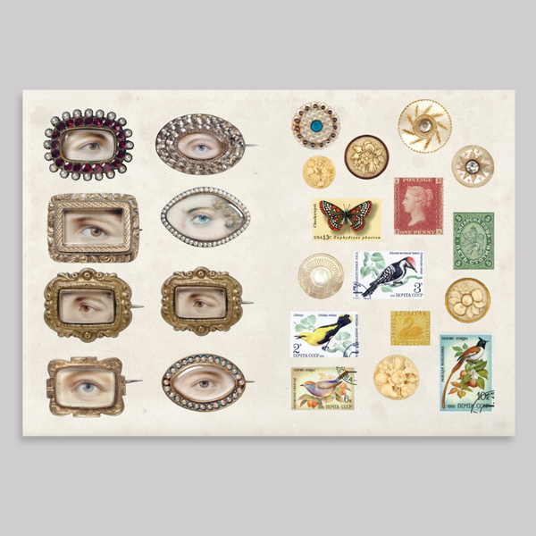 The Curious Collectibles Sticker Book