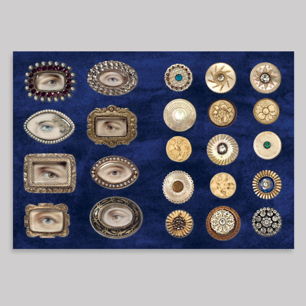 The Curious Collectibles Sticker Book