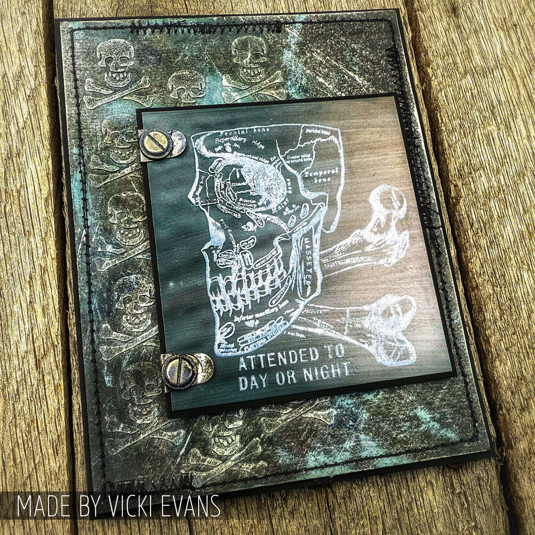 Anatomy Mixed Media Stamp + Stencil Set {Halloween} | Tim Holtz