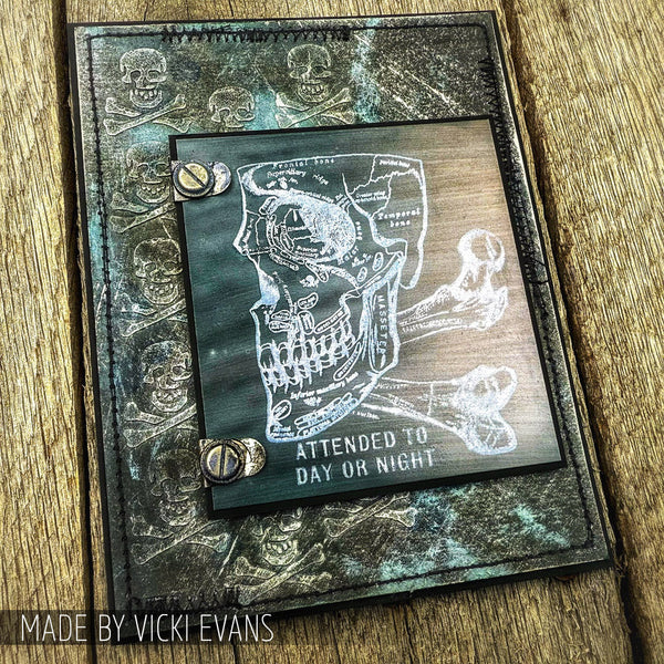 Anatomy Mixed Media Stamp + Stencil Set {Halloween} | Tim Holtz