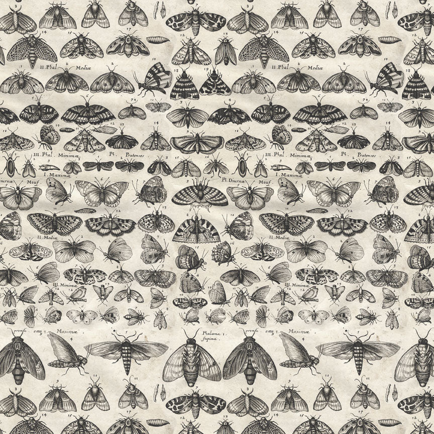 {coming soon: eta July} Palette Collection: Charcoal | Double-Sided Cardstock Paper Pack | idea-ology