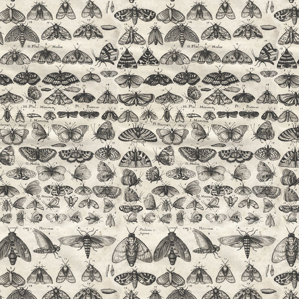 {coming soon: eta July} Palette Collection: Charcoal | Double-Sided Cardstock Paper Pack | idea-ology