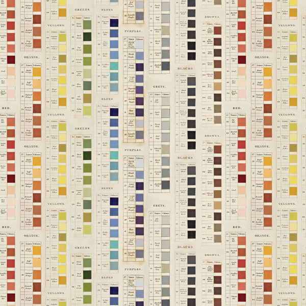 {coming soon: eta July} Palette Collection: Multi/Rainbow Double-Sided Cardstock Paper Pack | idea-ology