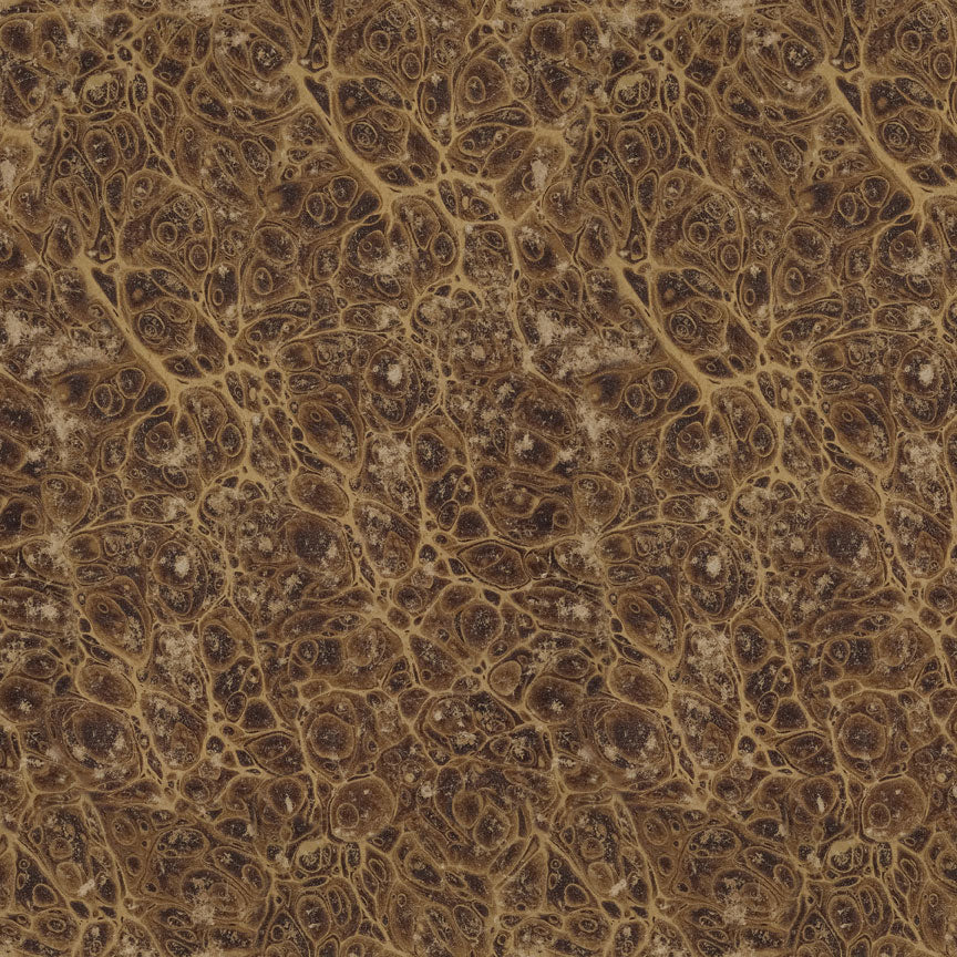 Palette Collection: Neutrals | Double-Sided Cardstock Paper Pack | idea-ology