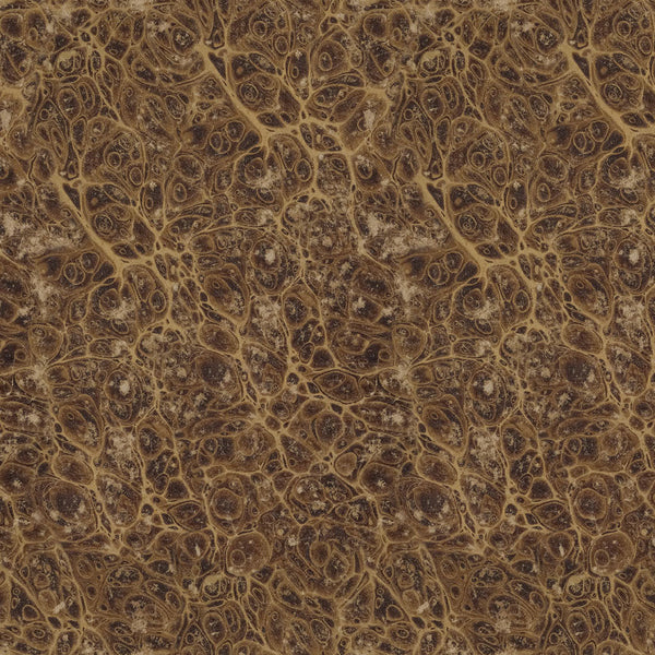 Palette Collection: Neutrals | Double-Sided Cardstock Paper Pack | idea-ology