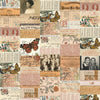 Palette Collection: Orange | Double-Sided Cardstock Paper Pack | idea-ology