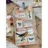 Palette Collection: Orange | Double-Sided Cardstock Paper Pack | idea-ology