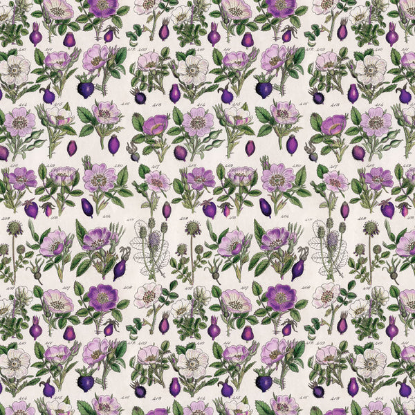 {coming soon: eta July} Palette Collection: Purple | Double-Sided Cardstock Paper Pack | idea-ology