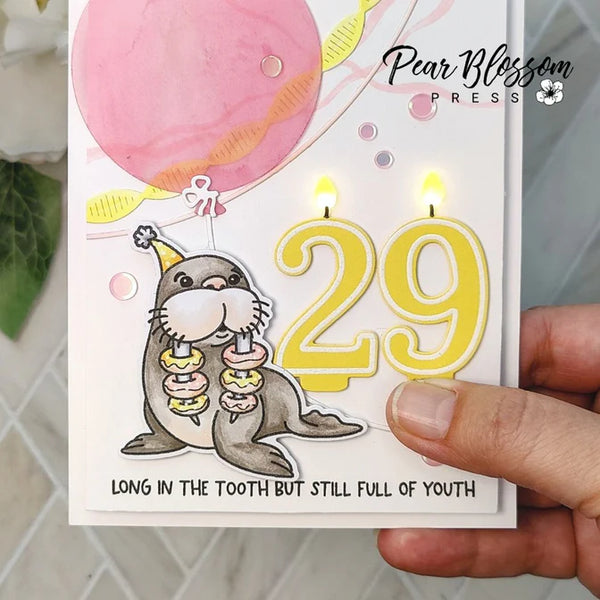 Number Candles 4x6 Clear Stamp Set