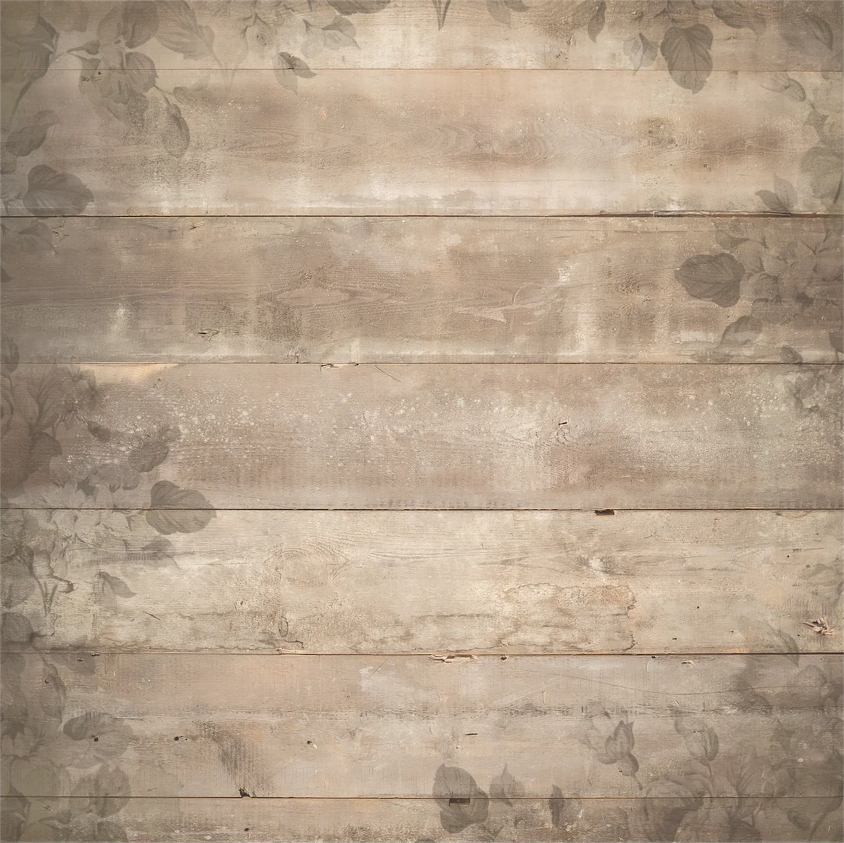 Botanical Chronicles 12 x 12 Collection Pack