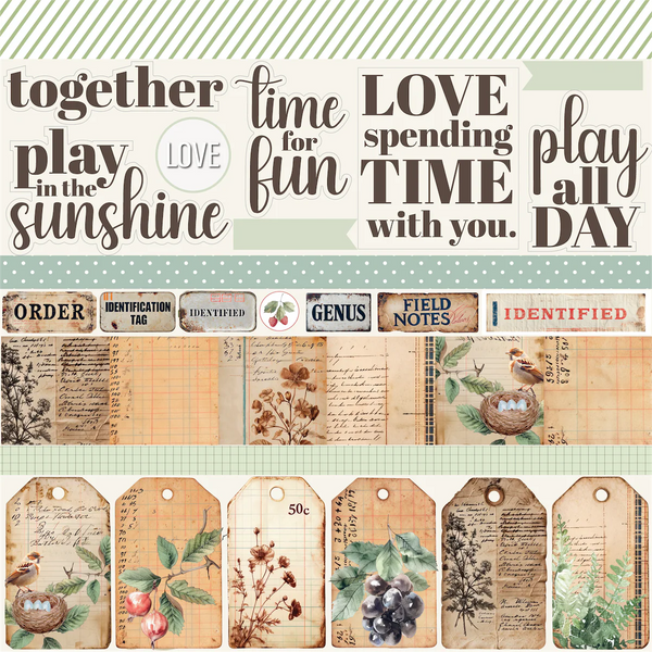 Botanical Chronicles 12 x 12 Collection Pack