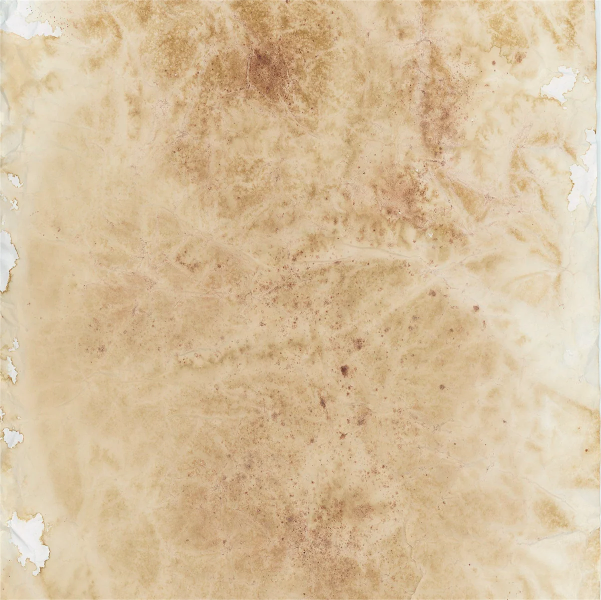 Botanical Chronicles 12 x 12 Collection Pack