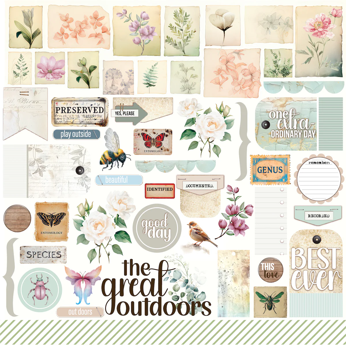 Floral Archives 12 x 12 Collection Pack