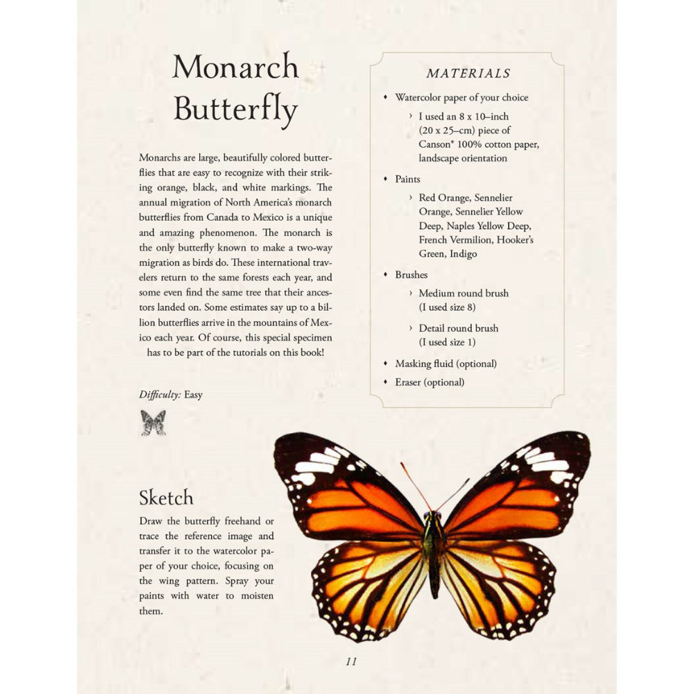 Watercolor Cabinet Of Curiosities: Paint Perfectly Peculiar Insects, Antiques & Other Oddities | Nassybah Touriño