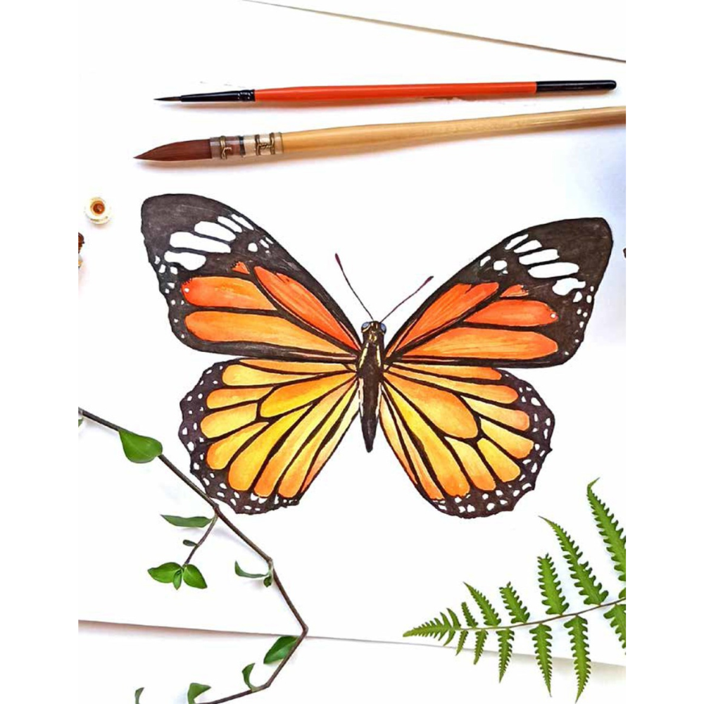 Watercolor Cabinet Of Curiosities: Paint Perfectly Peculiar Insects, Antiques & Other Oddities | Nassybah Touriño