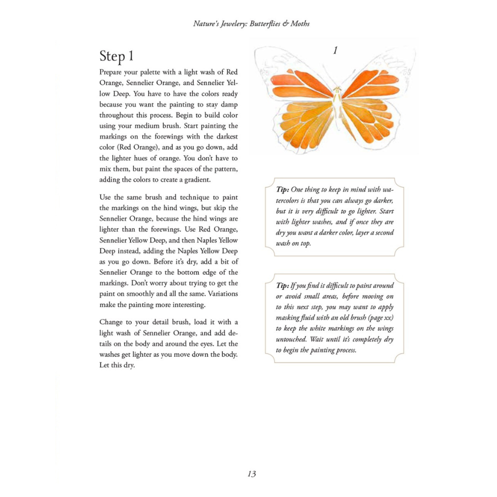 Watercolor Cabinet Of Curiosities: Paint Perfectly Peculiar Insects, Antiques & Other Oddities | Nassybah Touriño