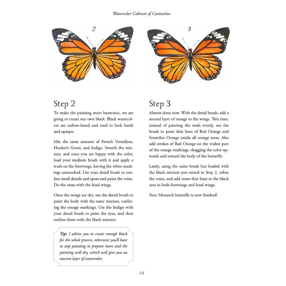 Watercolor Cabinet Of Curiosities: Paint Perfectly Peculiar Insects, Antiques & Other Oddities | Nassybah Touriño