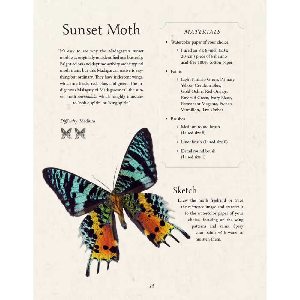 Watercolor Cabinet Of Curiosities: Paint Perfectly Peculiar Insects, Antiques & Other Oddities | Nassybah Touriño