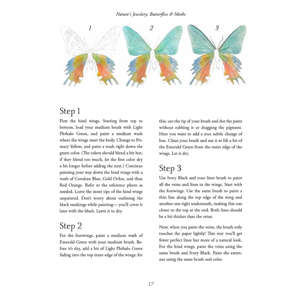 Watercolor Cabinet Of Curiosities: Paint Perfectly Peculiar Insects, Antiques & Other Oddities | Nassybah Touriño