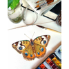 Watercolor Cabinet Of Curiosities: Paint Perfectly Peculiar Insects, Antiques & Other Oddities | Nassybah Touriño