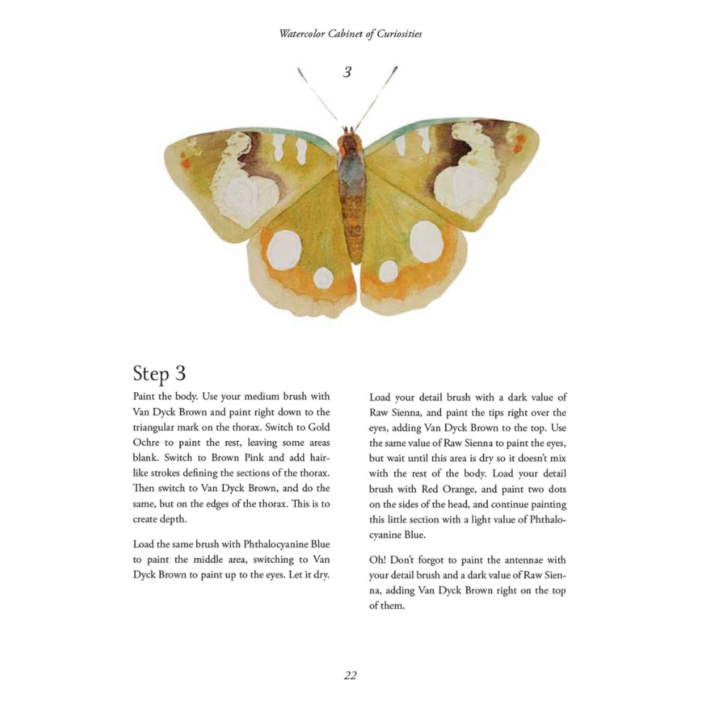 Watercolor Cabinet Of Curiosities: Paint Perfectly Peculiar Insects, Antiques & Other Oddities | Nassybah Touriño