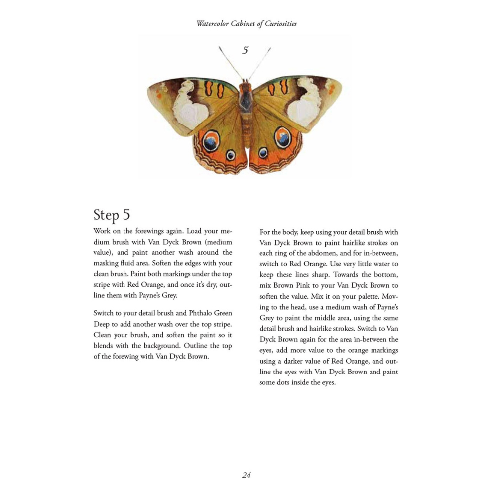 Watercolor Cabinet Of Curiosities: Paint Perfectly Peculiar Insects, Antiques & Other Oddities | Nassybah Touriño