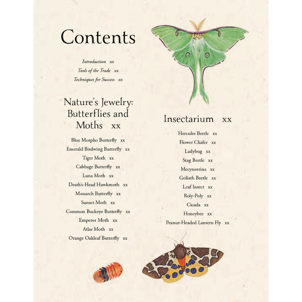 Watercolor Cabinet Of Curiosities: Paint Perfectly Peculiar Insects, Antiques & Other Oddities | Nassybah Touriño