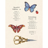 Watercolor Cabinet Of Curiosities: Paint Perfectly Peculiar Insects, Antiques & Other Oddities | Nassybah Touriño
