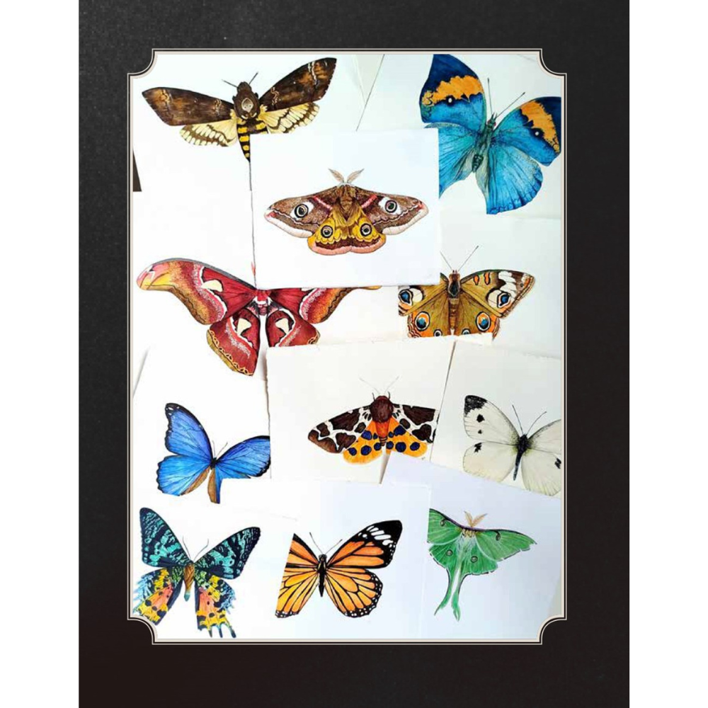 Watercolor Cabinet Of Curiosities: Paint Perfectly Peculiar Insects, Antiques & Other Oddities | Nassybah Touriño