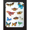 Watercolor Cabinet Of Curiosities: Paint Perfectly Peculiar Insects, Antiques & Other Oddities | Nassybah Touriño