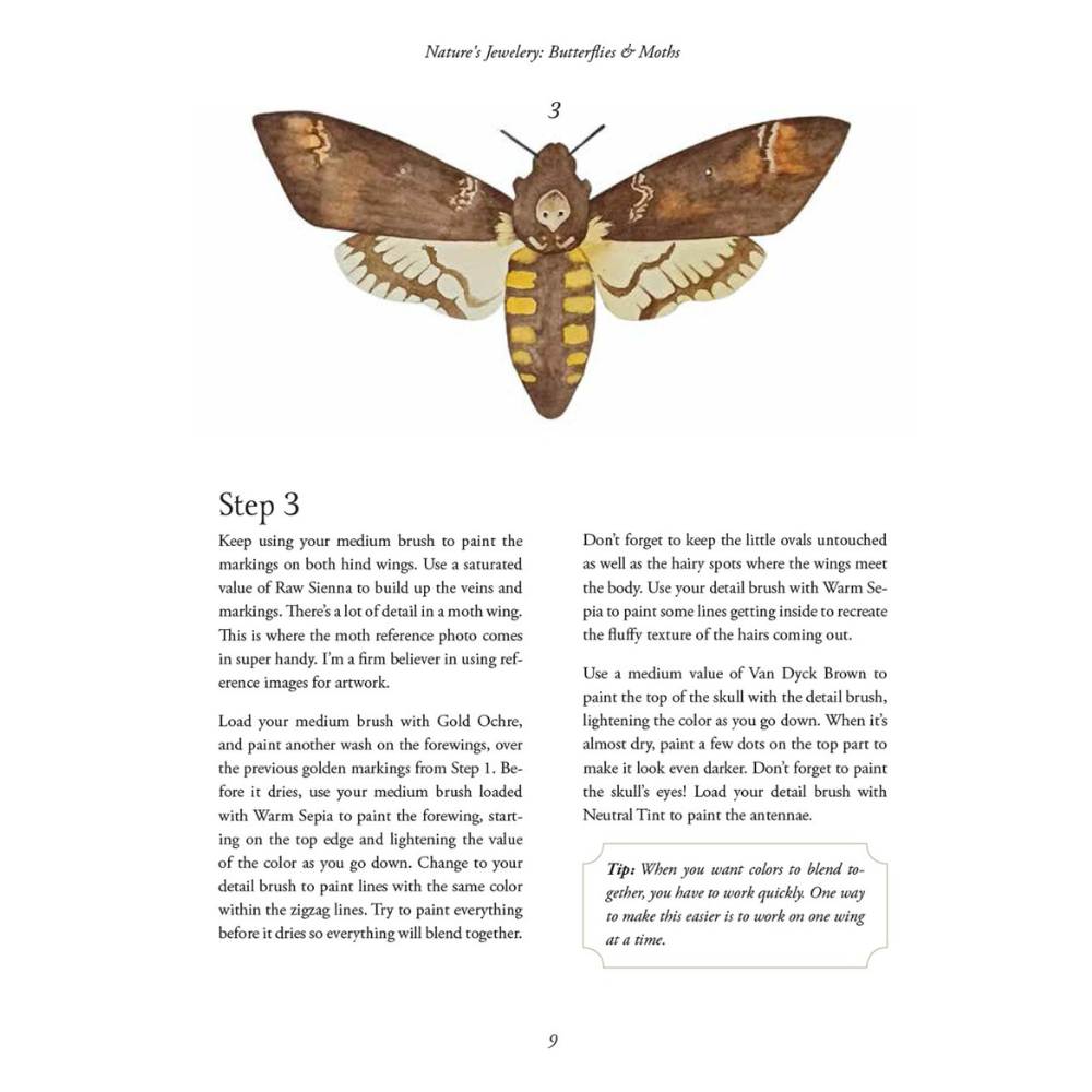 Watercolor Cabinet Of Curiosities: Paint Perfectly Peculiar Insects, Antiques & Other Oddities | Nassybah Touriño