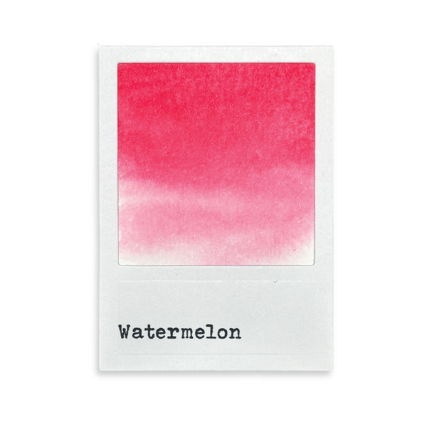 Watermelon Blendable Dye Ink Pad | 49 & Market