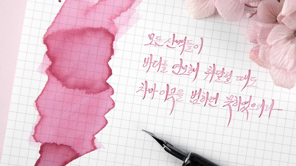 Fountain pen with pink ink on grid paper and pink flowers