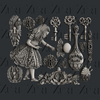 Alice in Wonderland 3D Silicone Moulds {multiple styles}