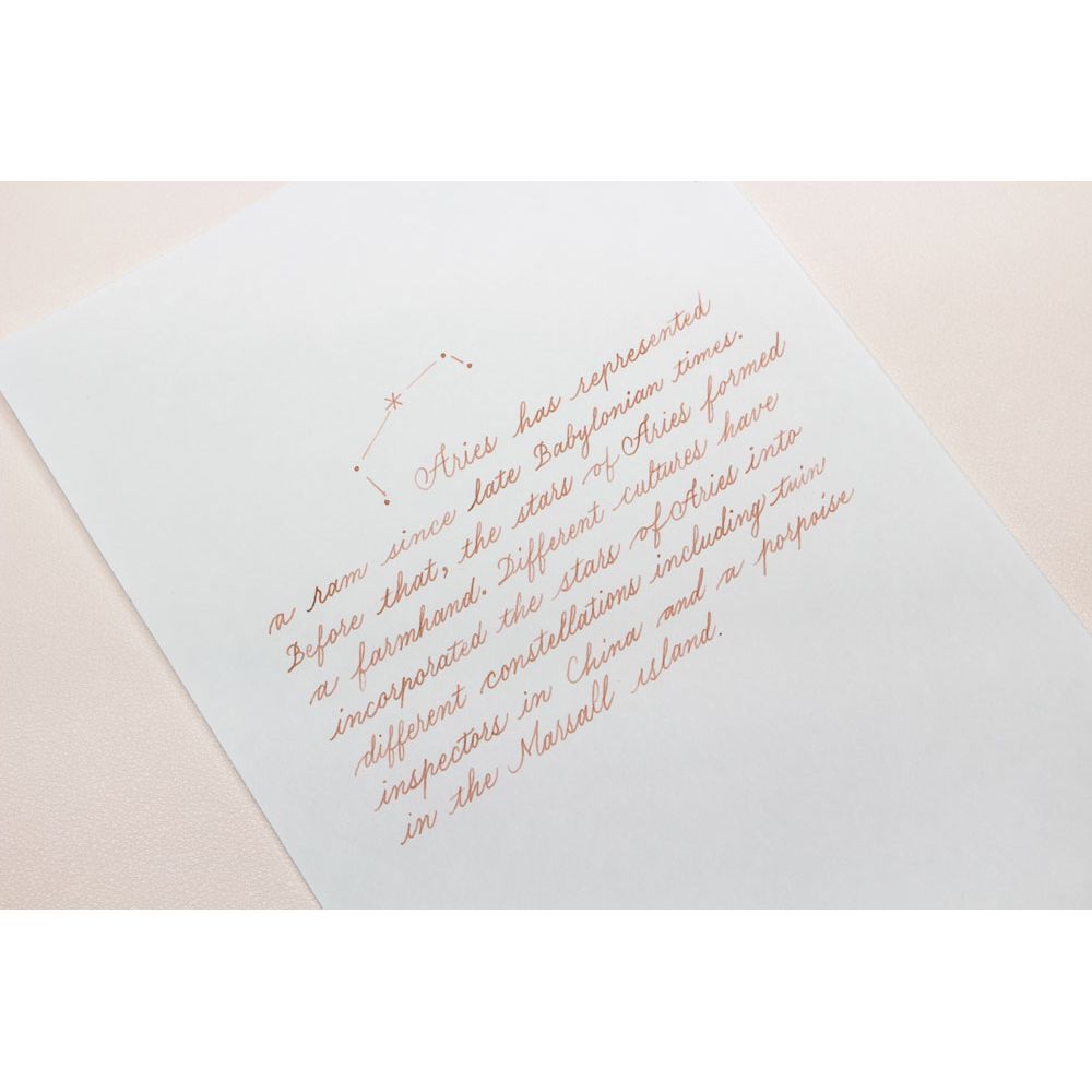 a Ari Fountain Pen Ink | Project Ink Vol. 5, No. 028