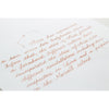 a Ari Fountain Pen Ink | Project Ink Vol. 5, No. 028