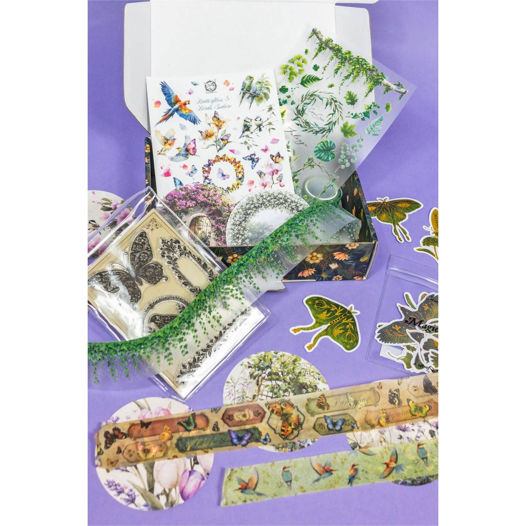 Birds, Foliage & Butterflies Box
