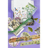 Birds, Foliage & Butterflies Box