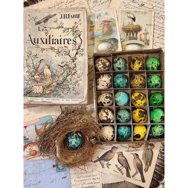 Set of 20 colored Decorative Quail Eggs