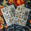 Curiosities A5 Clear Sticker Sheet