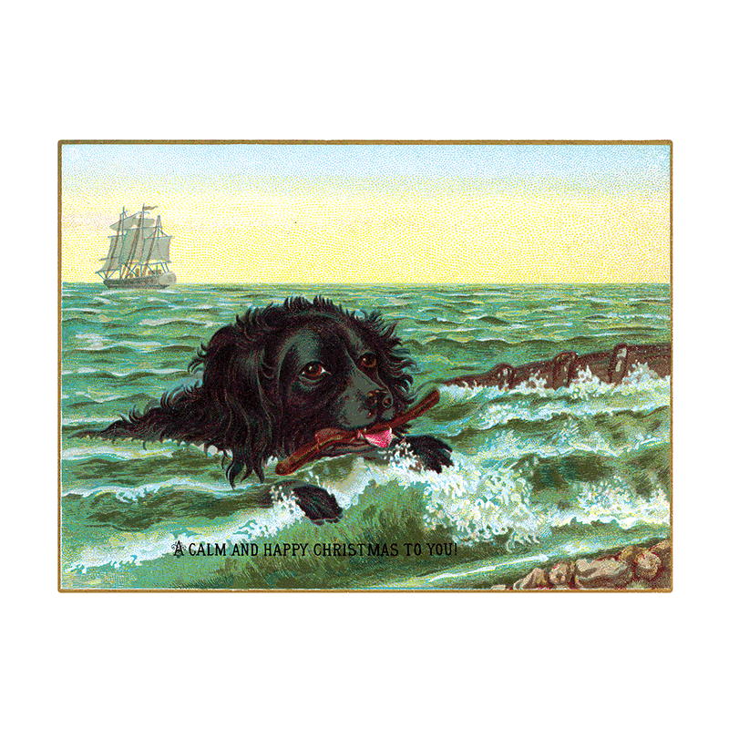 We Wish You a Crazy Christmas Postcard Book