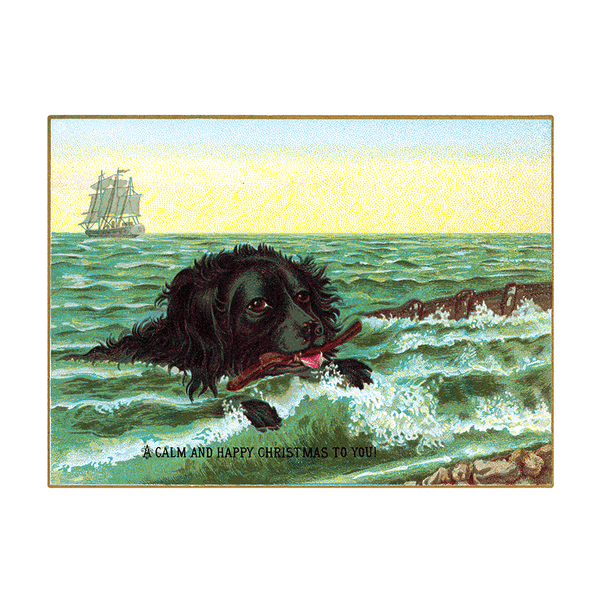 We Wish You a Crazy Christmas Postcard Book