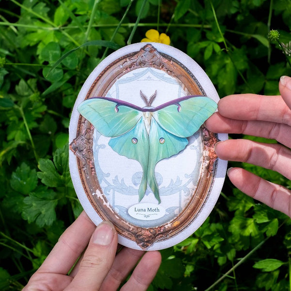 Luna Moth Oval Greeting Card