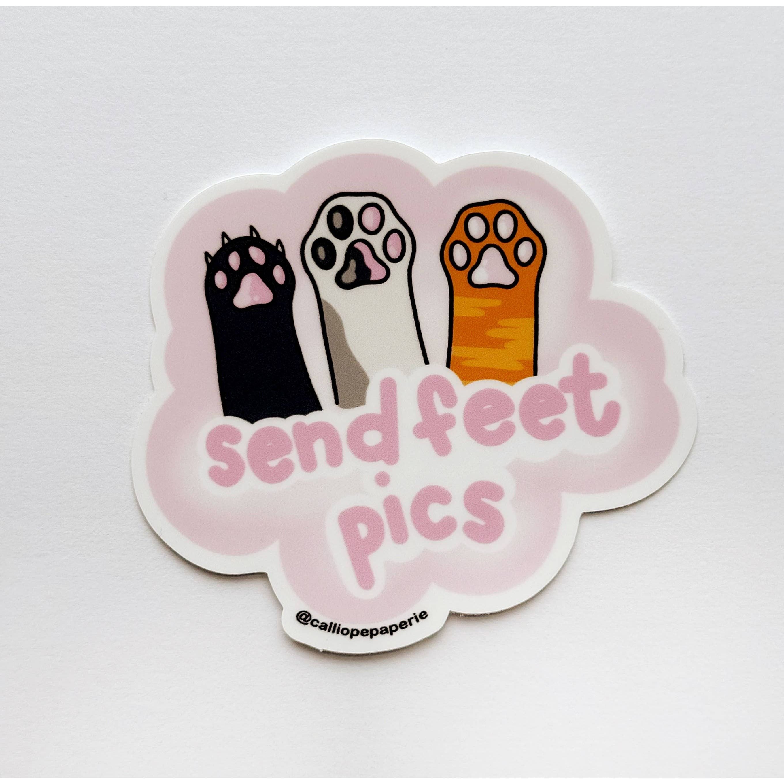 Send Kitty Feet Pics Vinyl Sticker